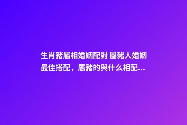 生肖豬屬相婚姻配對 屬豬人婚姻最佳搭配，屬豬的與什么相配最好